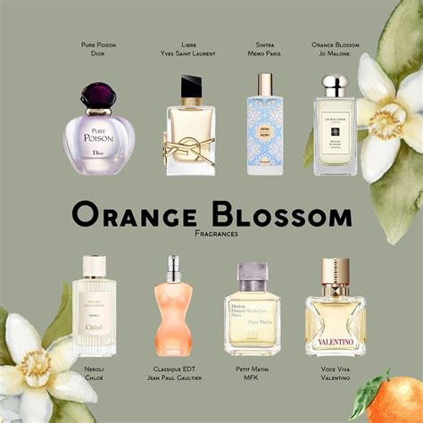 best orange blossom perfume|perfumes that smell like bergamot.